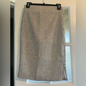 Express Pencil Skirt